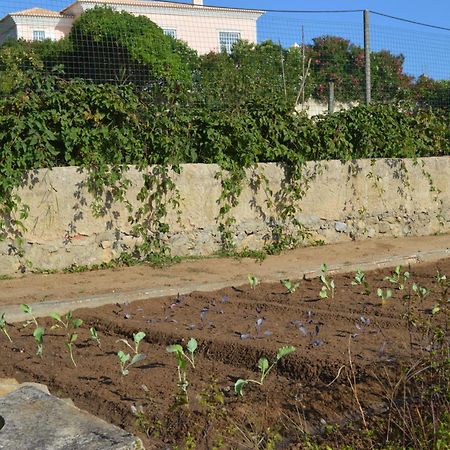 Casalinho De Santo Antonio Bed and Breakfast Sintra Esterno foto