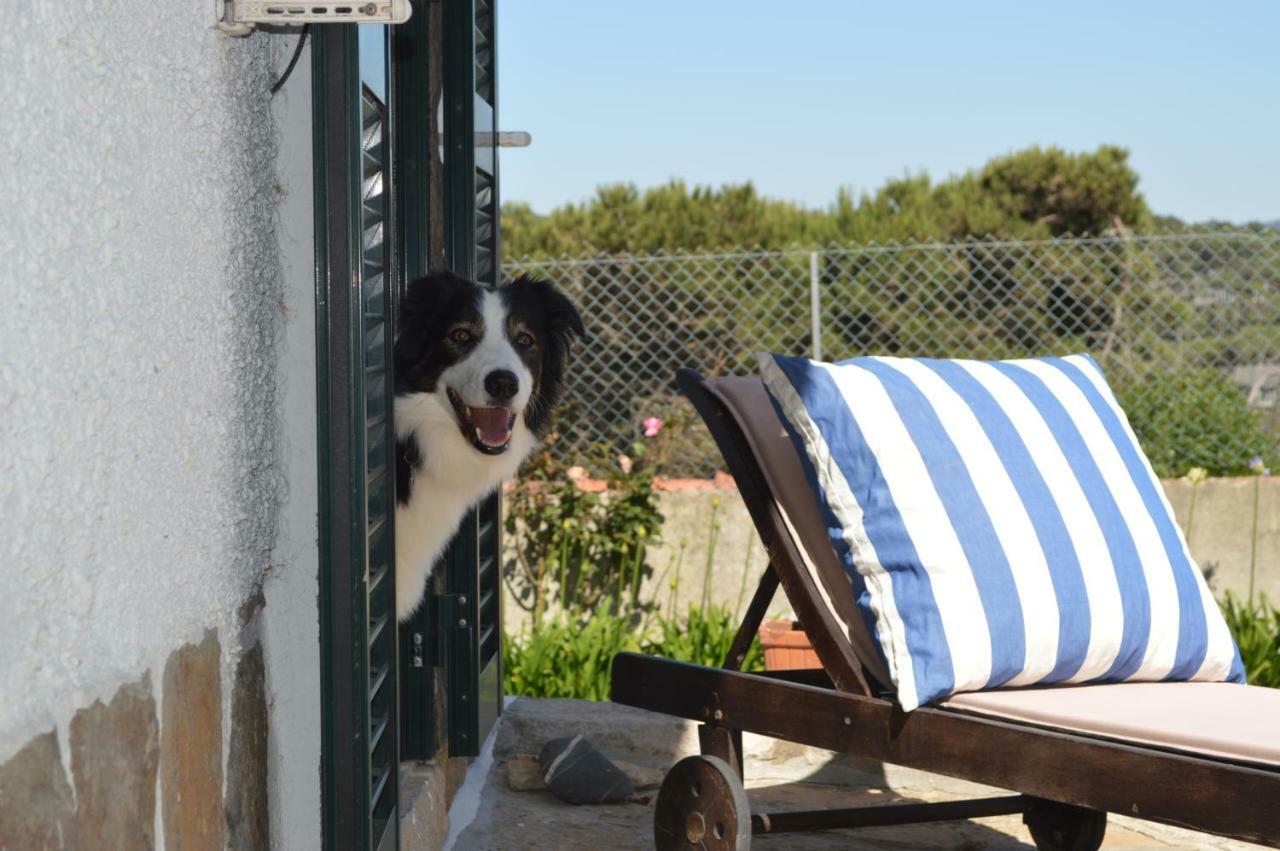 Casalinho De Santo Antonio Bed and Breakfast Sintra Esterno foto